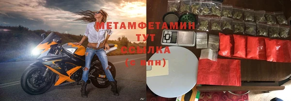 сатива Беслан