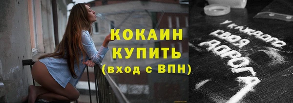 гидра Билибино