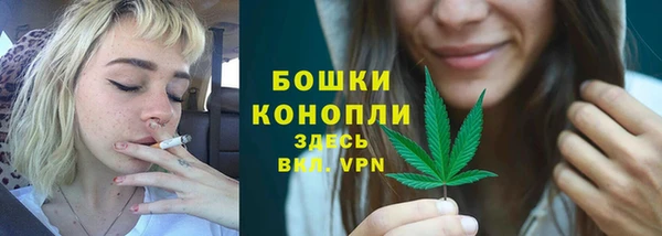 ГАЛЛЮЦИНОГЕННЫЕ ГРИБЫ Новодвинск