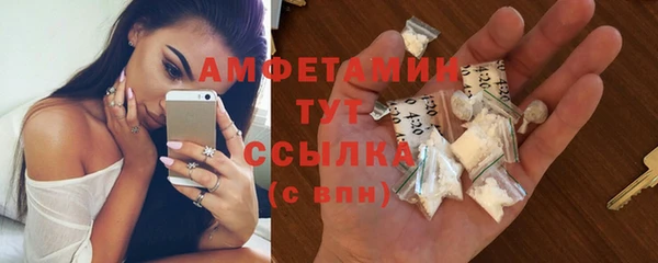 гидра Билибино