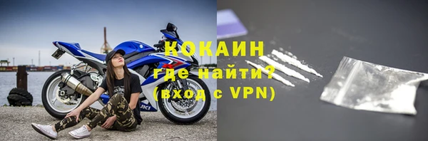 гидра Билибино