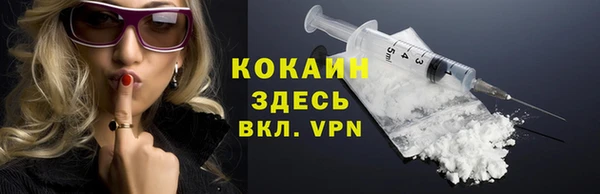 сатива Беслан