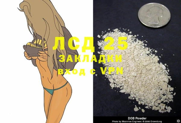 сатива Беслан