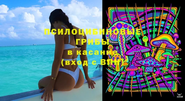 гидра Билибино