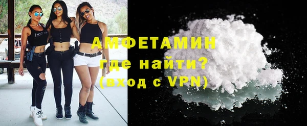 гидра Билибино